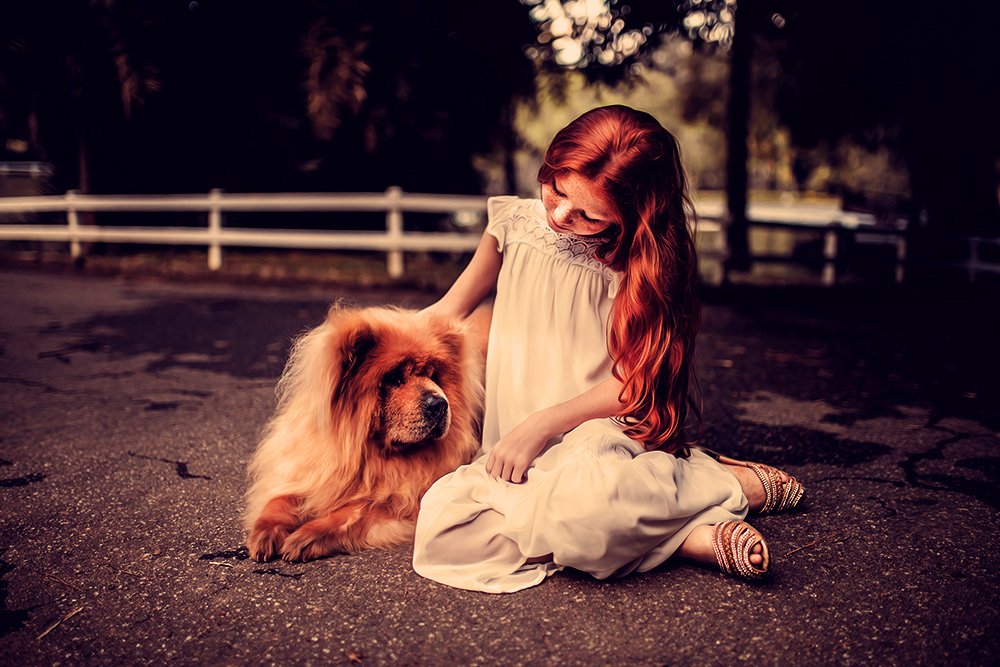 bambini e cani in sicurezza