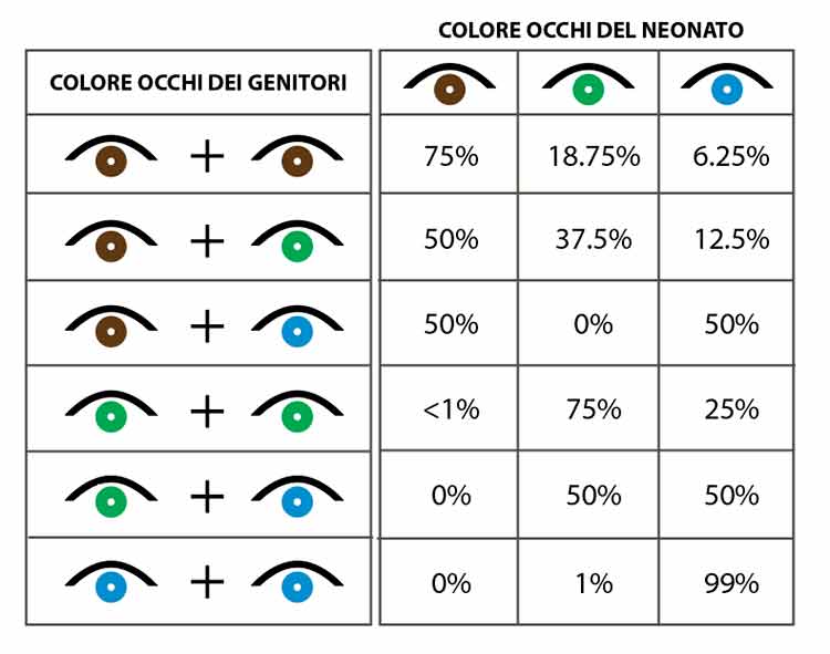 tabella_colore_occhi_neonato